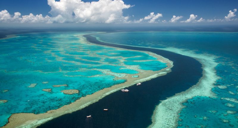 Brit man, 42, and teen, 17, drown in Australia after tourists are swept out to sea sparking helicopter rescue mission