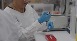 World-first human clinical trials are underway for a type 1 diabetes drug, developed by Queensland researchers.