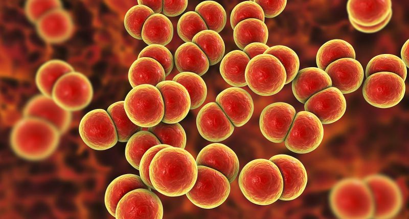 Alert over flu-like disease that kills in ONE DAY landing on UK shores...get jabbed, experts urge