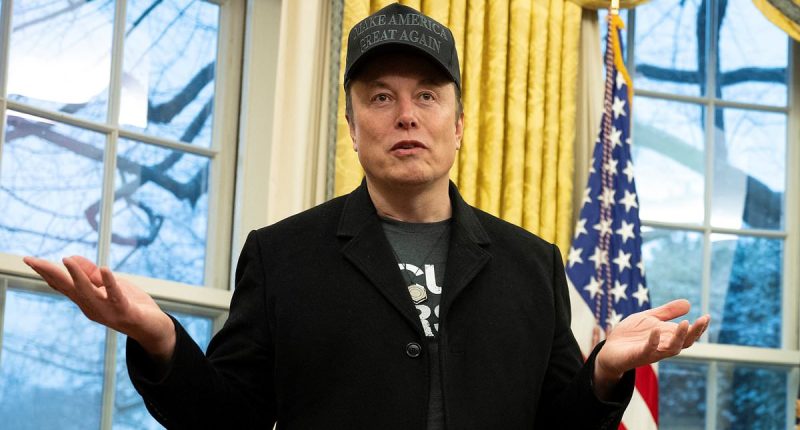 Atlantic writer claims Elon Musk has fathered more than 100 children with a baby-mama 'harem'