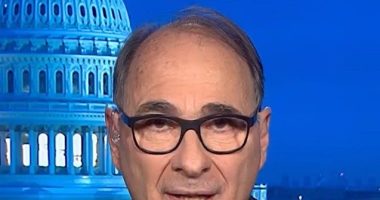 Axelrod: Trump's Tariffs Likely the 'Beginning of the End' for His Presidency