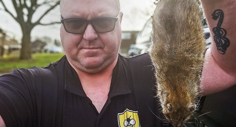 British ARMY now called in to rodent-ridden Birmingham as pest control expert labels city 'apocalyptic': Cash-strapped Labour-run council declares major incident over bin strikes