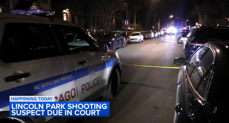 Chicago shooting: Josalyn Fowler due in court on charges of killing Kevin Patel near Lincoln Park home