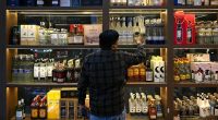 Could India be a hedge against trade wars and tariffs?