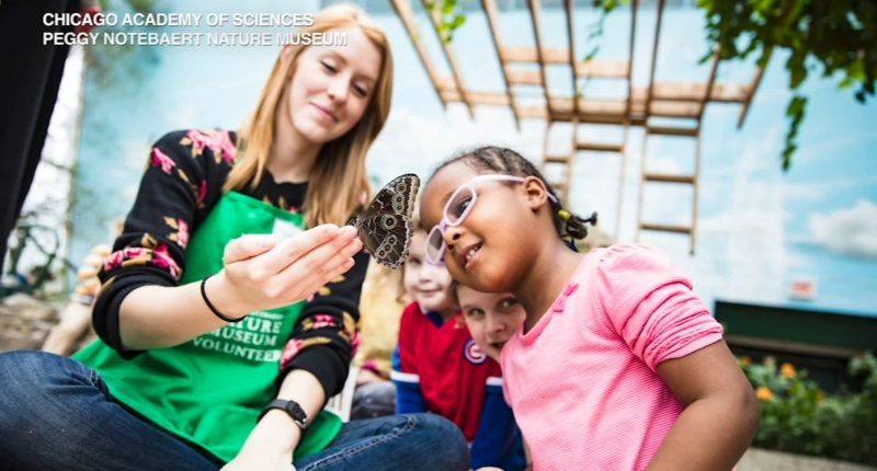 Earth Day 2025: How to talk about climate change with kids, preparing for natural disasters from Illinois weather and more