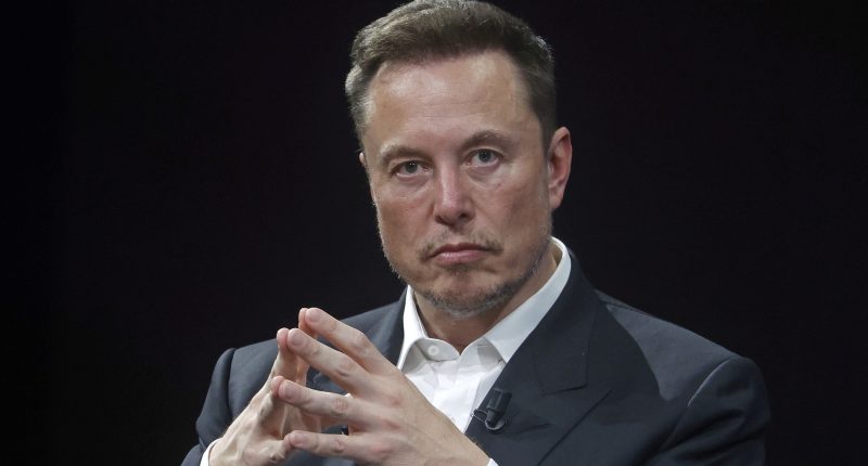 Elon Musk's Shady Behavior Toward Kamala Harris Has Feud Rumors Brewing