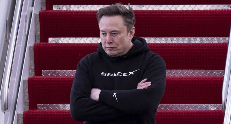 Elon Musk's obscene offer to baby mama Ashley St. Clair for her silence and their newborn's name is revealed