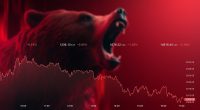 HAMISH MCRAE: Bear markets are a familiar beast