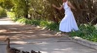 The Duchess of Sussex , 43, looked overjoyed on Easter Sunday when she came across a flock of ducks in a woodland and crossed the road in Montecito