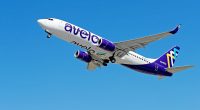 Low-cost airline announces they will be ferrying migrants to detention centers