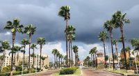 My visit to an idyllic Texas town with a BIG secret left me sickened... thousands of lives are at risk