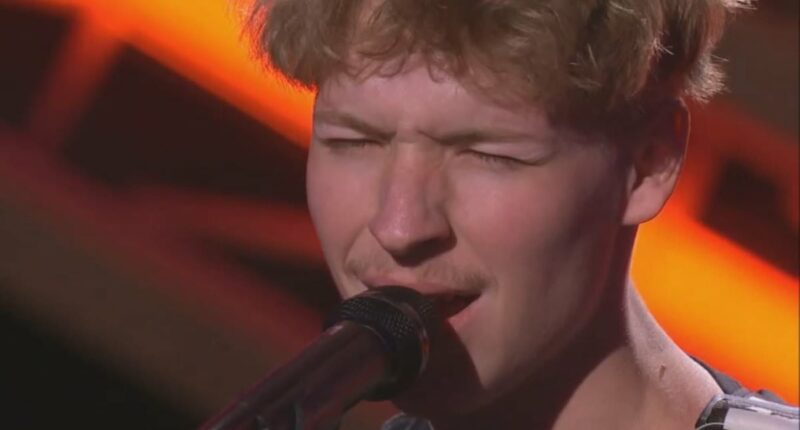Nepo baby cut from American Idol after fan outrage