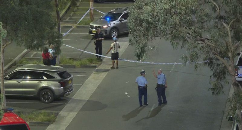 Police use capsicum spray after 40-person brawl erupts in park
