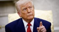 Sanctuary City cancels annual Cinco de Mayo Parade over fears of ICE raids in move that will infuriate Trump