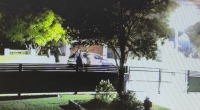 Teen charged over stabbing at 16th birthday party