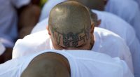 DHS Invites You to 'Meet' the Detainees That NJ Democrats Went Ga-Ga Over at ICE Detention Center