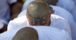 DHS Invites You to 'Meet' the Detainees That NJ Democrats Went Ga-Ga Over at ICE Detention Center