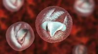 Urgent warning over major outbreak of gruesome parasite that causes 'bowel cancer-like' symptoms at children's attraction