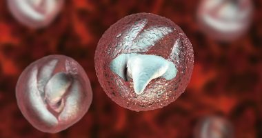 Urgent warning over major outbreak of gruesome parasite that causes 'bowel cancer-like' symptoms at children's attraction