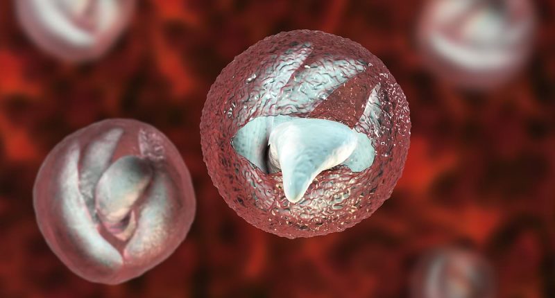 Urgent warning over major outbreak of gruesome parasite that causes 'bowel cancer-like' symptoms at children's attraction