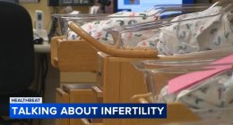 What not to say to women experiencing infertility; Author, mother Erin Sarris shares her IVF journey