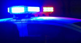 'Dogs are good': Florida man arrested for shooting neighbor's 2-year-old pit bull, police say