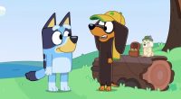 9PR: Bluey