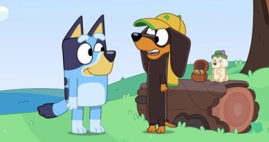 9PR: Bluey