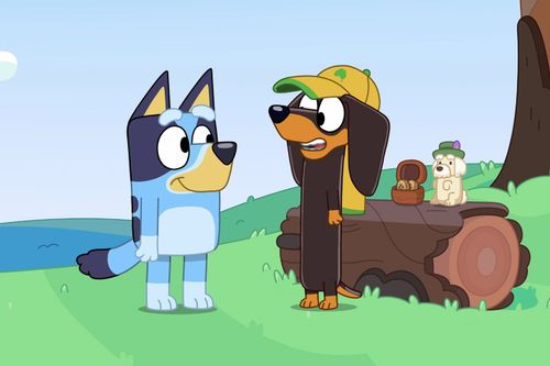 9PR: Bluey