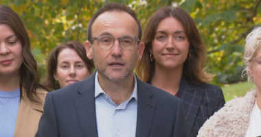 'Fell just short': Greens leader Adam Bandt concedes defeat in Melbourne