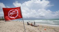'Help me! Help me!': Florida officers, beachgoer save 3 drowning children at beach