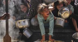 'Horrified' UK suspends free trade talks with Israel over Gaza