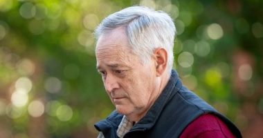 'Thought he was going to die': how mushroom lunch almost killed four