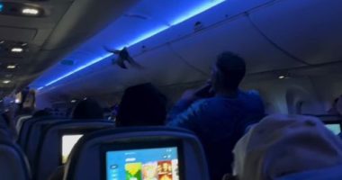 The Delta Airlines flight from ï»¿Minneapolis to Madison, Wisconsin, was delayed on Saturday (local time) when two pigeons started flying through the cabin.