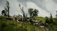 1 dead and several injured when storm rips through Kentucky community, authorities say