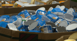 1 in 5 northeast Tennessee children are food insecure, Map the Meal Gap report says