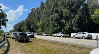 2 bears killed following attack that left man, dog dead in South Florida: report