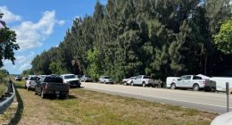 2 bears killed following attack that left man, dog dead in South Florida: report