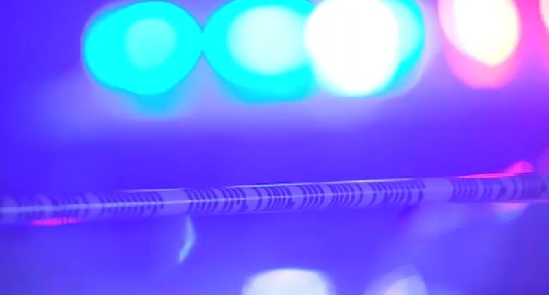 2 teenagers found dead at campsite near Mount Ord near Phoenix, Arizona, report says