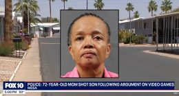 72-year-old woman shoots son over video game noise: Police