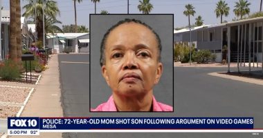 72-year-old woman shoots son over video game noise: Police
