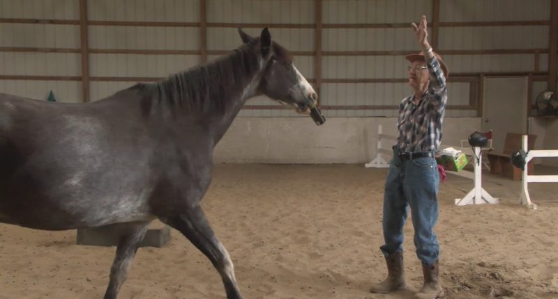 95-year-old Seymour man still 'horsing' around