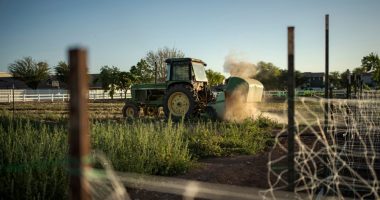 A little bit of farm, a little bit of suburbia: That's the recipe for Agritopia