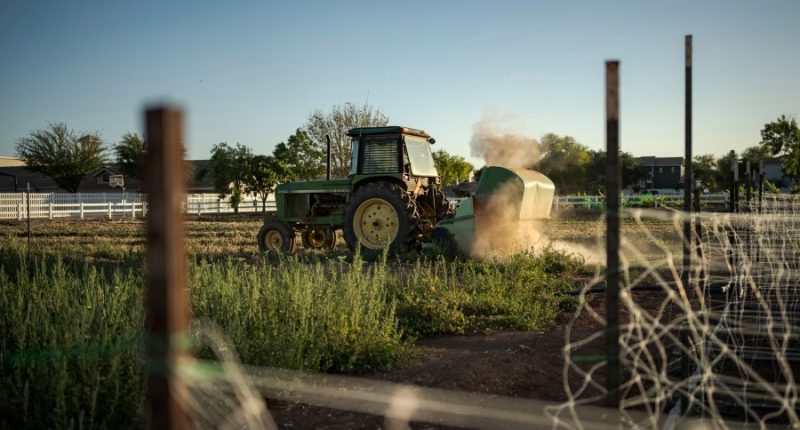 A little bit of farm, a little bit of suburbia: That's the recipe for Agritopia