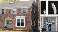 About 100 dead cats found in Long Island home following reports of foul ammonia stench