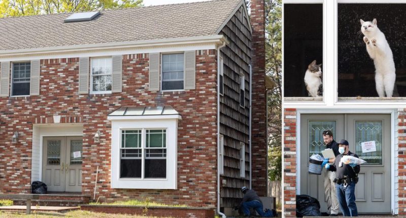 About 100 dead cats found in Long Island home following reports of foul ammonia stench