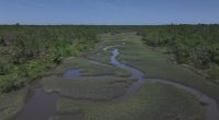 After application withdrawn for St. Johns County land swap, state rep wants to make a different deal