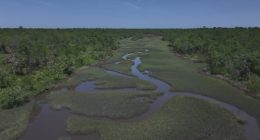 After application withdrawn for St. Johns County land swap, state rep wants to make a different deal
