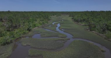 After application withdrawn for St. Johns County land swap, state rep wants to make a different deal