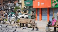 After days of heavy firefights, calm reported along Indian and Pakistan borders